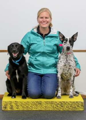 Two dogs sit with owner for obedience class photo