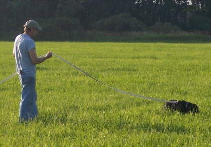 Dog and handler tracking game