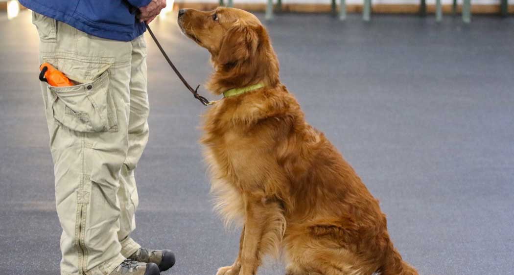 Obed22 Manitowoc County Kennel Club (MCKC)